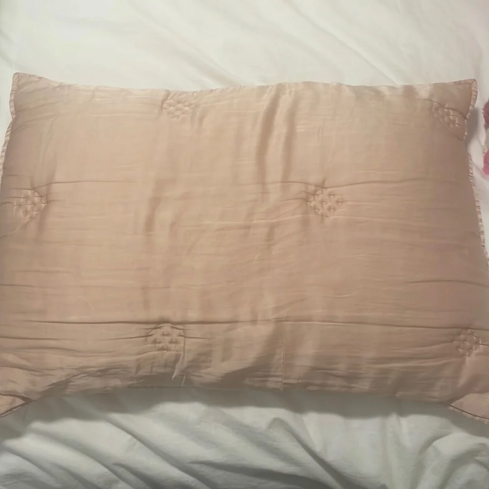 West Elm Baby Pink TENCEL Standard Shams Set